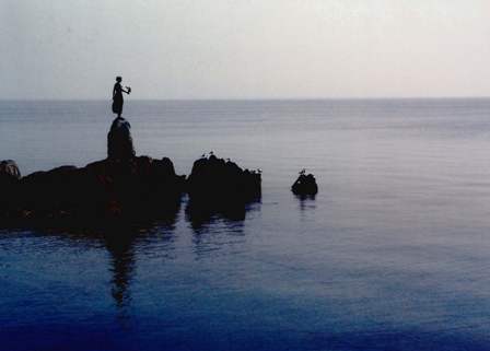 Cover Page